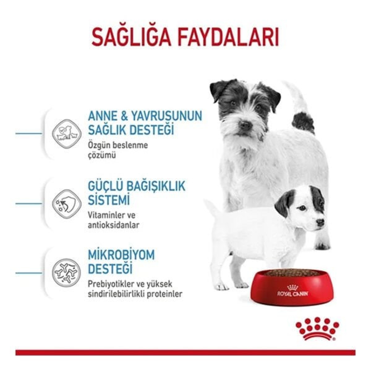 Royal Canin Mini Starter Anne ve Yavru Köpek Maması 4 Kg Royal Canin Mini Starter Anne ve Yavru Köpek Maması 4 Kg