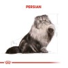 Royal Canin Persian Adult Yetişkin İran Kedisi Maması 4 Kg