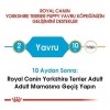 Royal Canin Yorkshire Terrier Junior Yavru Köpek Maması 1.5 Kg