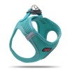 Tailpetz Air Mesh Harness Köpek Göğüs Tasması Xxxsmall Emerald 20-24x24-28 Cm Tailpetz Air Mesh Harness Köpek Göğüs Tasması Xxxsmall Emerald 20-24x24-28 Cm