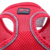 Tailpetz Air Mesh Harness Köpek Göğüs Tasması Xxxsmall Kırmızı 20-24x24-28 Cm Tailpetz Air Mesh Harness Köpek Göğüs Tasması Xxxsmall Kırmızı 20-24x24-28 Cm