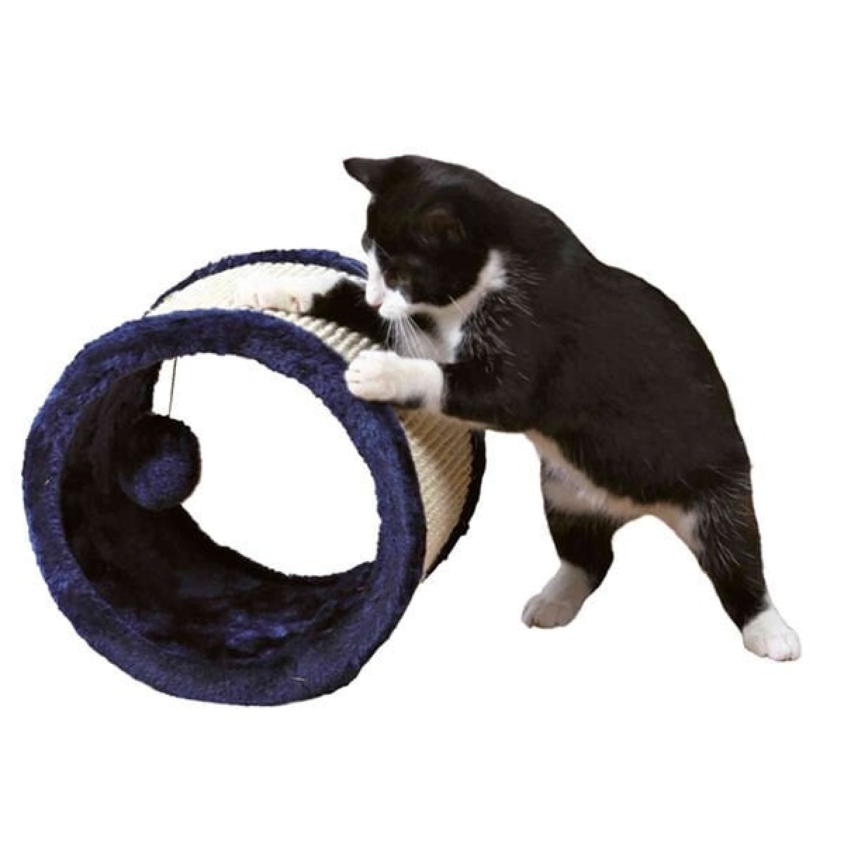 Trixie Kedi Tırmalama Tahtası ve Oyuncağı Mavi 23x20 Cm Trixie Kedi Tırmalama Tahtası ve Oyuncağı Mavi 23x20 Cm