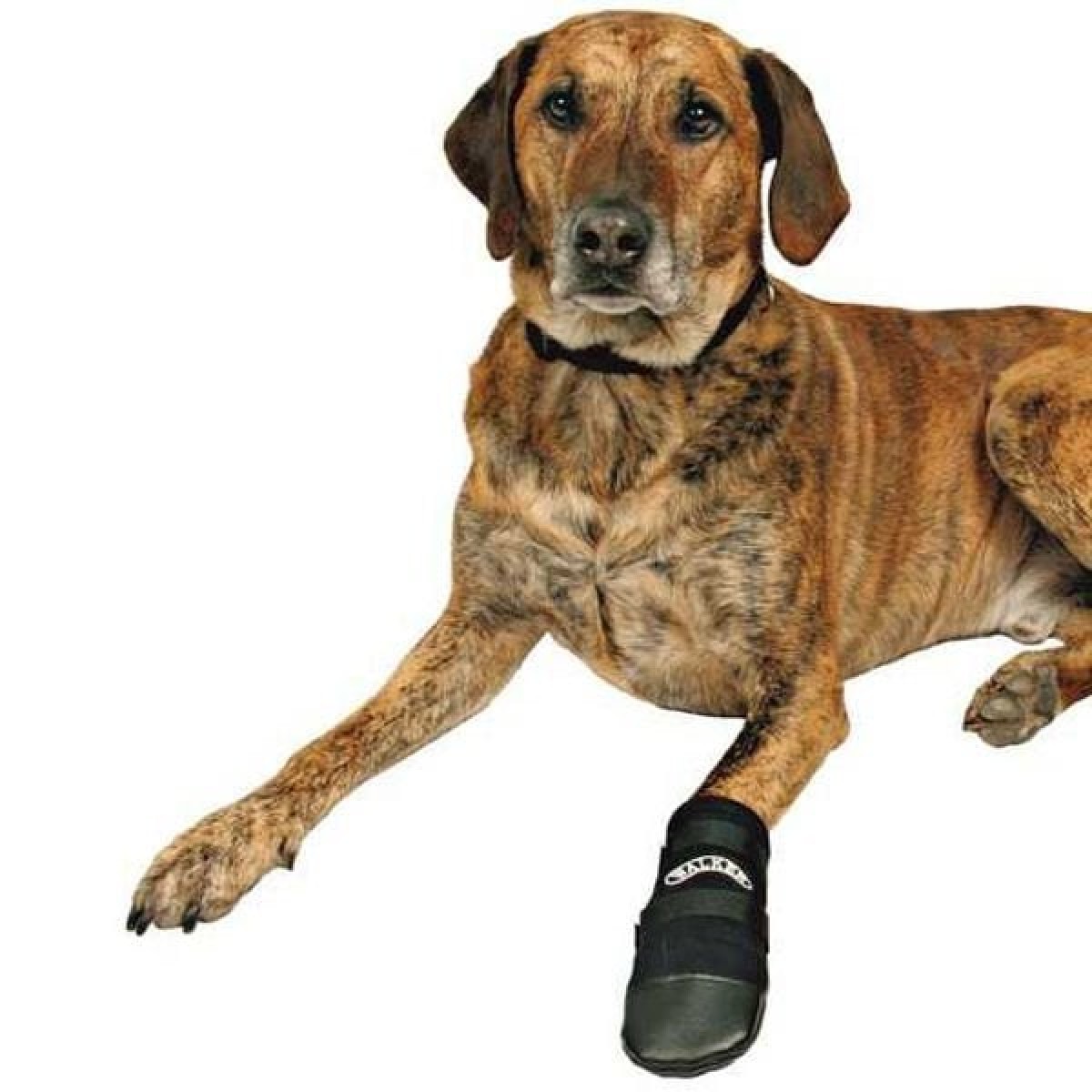 Trixie Köpek Çorabı Neopren 2 Adet Siyah Medium Trixie Köpek Çorabı Neopren 2 Adet Siyah Medium