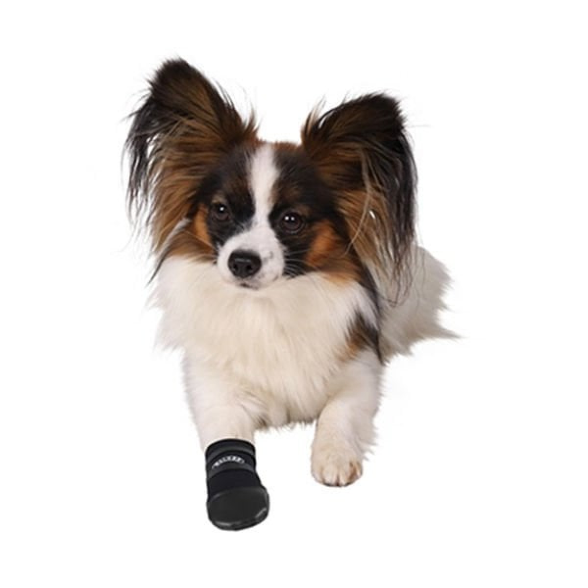 Trixie Köpek Çorabı Neopren 2 Adet Siyah Medium Trixie Köpek Çorabı Neopren 2 Adet Siyah Medium