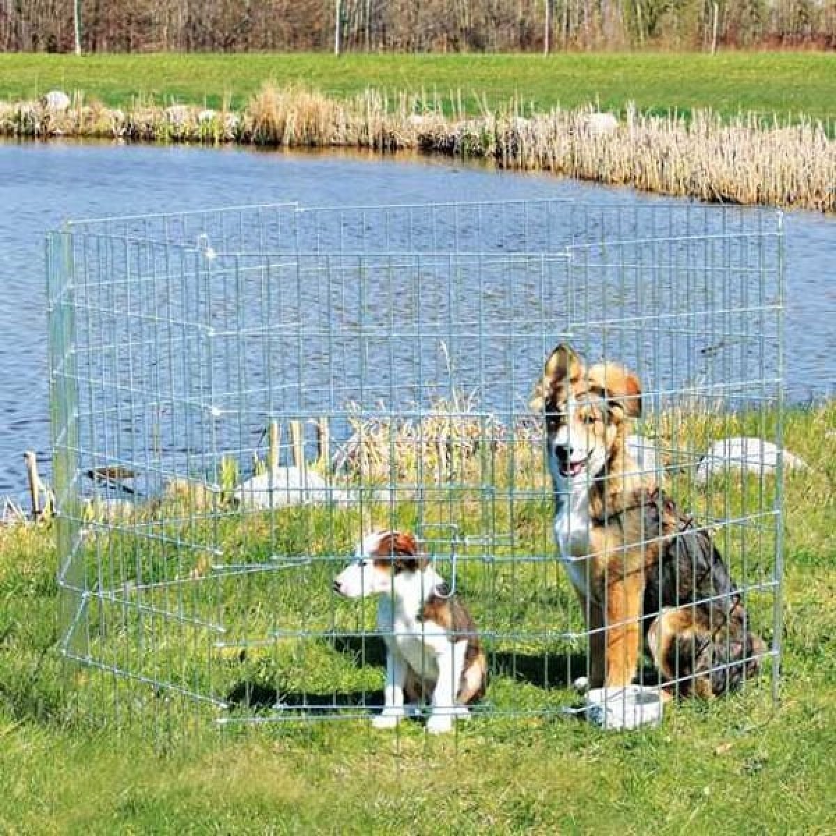 Trixie Yavru ve Küçük Köpek Açık Hava Oyun Alanı Trixie Yavru ve Küçük Köpek Açık Hava Oyun Alanı