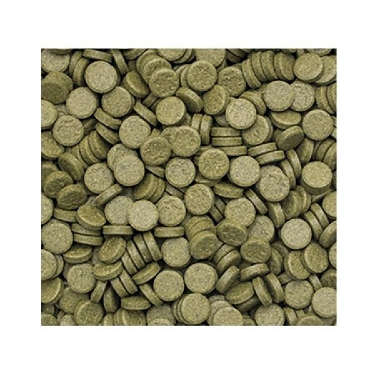 Tropical 3-Algae Tablet A Tatlı ve Tuzlu Su Balıkları için Yosunlu Yem 36 Gr 80 Adet Tropical 3-Algae Tablet A Tatlı ve Tuzlu Su Balıkları için Yosunlu Yem 36 Gr 80 Adet