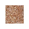 Tropical Gammarus Kurutulmuş Karides Kaplumbağa ve Balık Yemi 1000 Ml 120 Gr Tropical Gammarus Kurutulmuş Karides Kaplumbağa ve Balık Yemi 1000 Ml 120 Gr