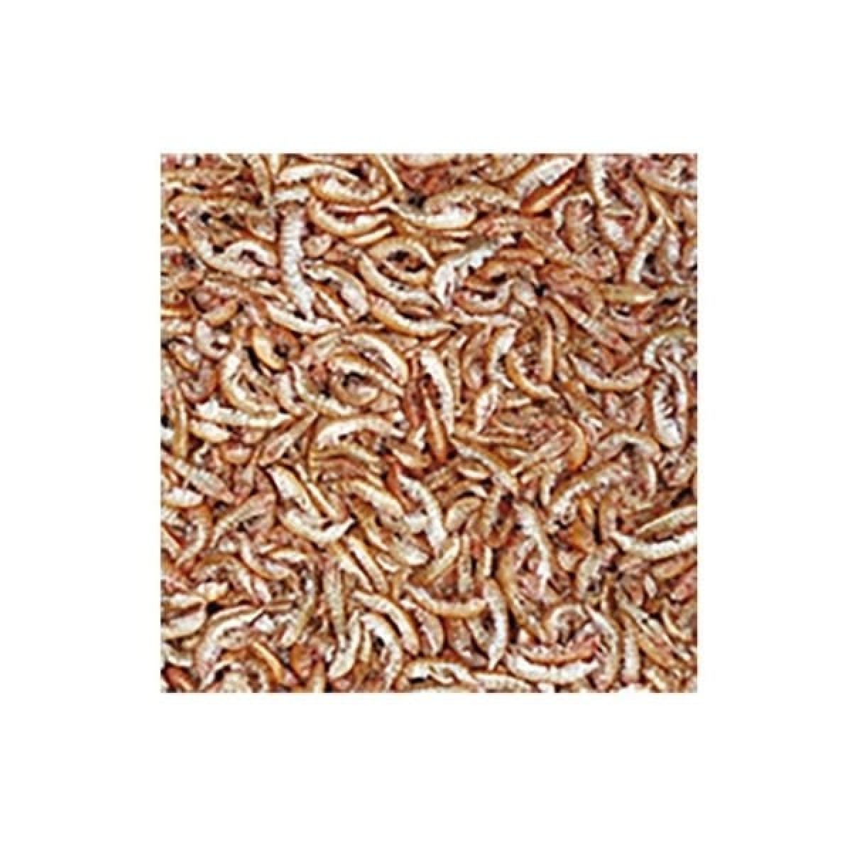 Tropical Gammarus Kurutulmuş Karides Kaplumbağa ve Balık Yemi 1000 Ml 120 Gr Tropical Gammarus Kurutulmuş Karides Kaplumbağa ve Balık Yemi 1000 Ml 120 Gr