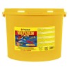 Tropical Vitality Color Flakes Tropikal Balıklar için Renklendirici Pul Balık Yemi 11 Lt 2 Kg Tropical Vitality Color Flakes Tropikal Balıklar için Renklendirici Pul Balık Yemi 11 Lt 2 Kg