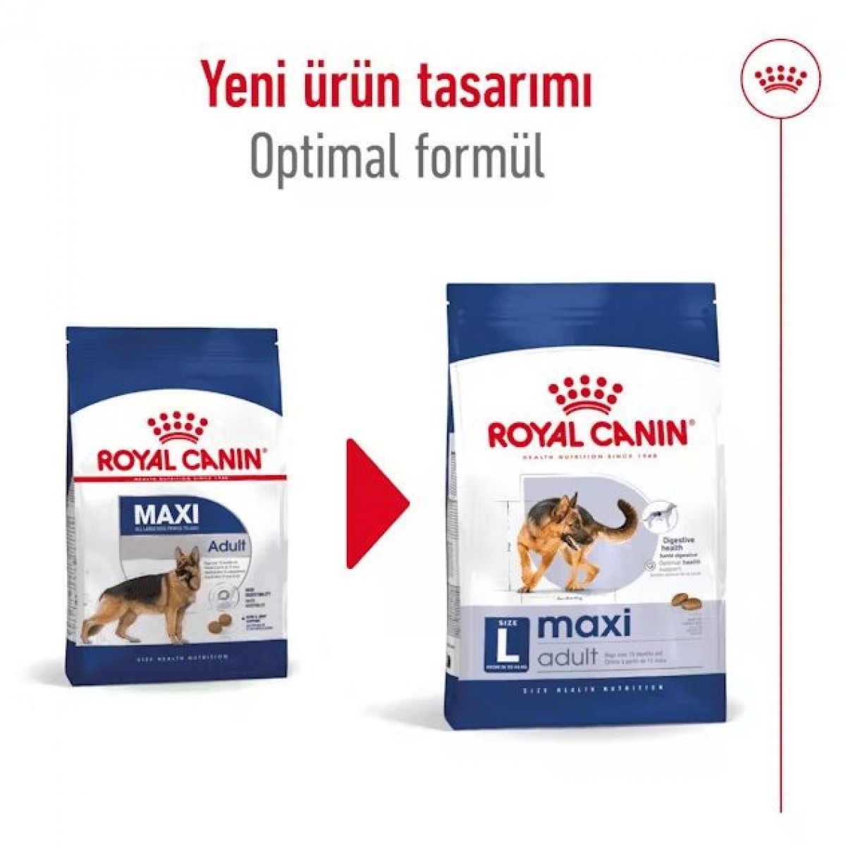Royal Canin Maxi Adult Büyük Irk Yetişkin Köpek Maması 15 Kg
