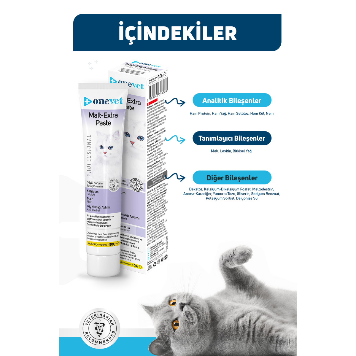 OneVet Malt Extra Paste Tüy Yumağı Önleyici Kedi Maltı 100 Gr