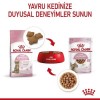 Royal Canin Kitten Sterilised Pouch Kısırlaştırılmış Yavru Konserve Kedi Maması 1 Adet 85 Gr
