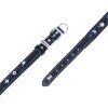 Doggie Comfort Deri Nazar Boncuklu Köpek Boyun Tasması Medium Siyah 2.5x37-45 Cm