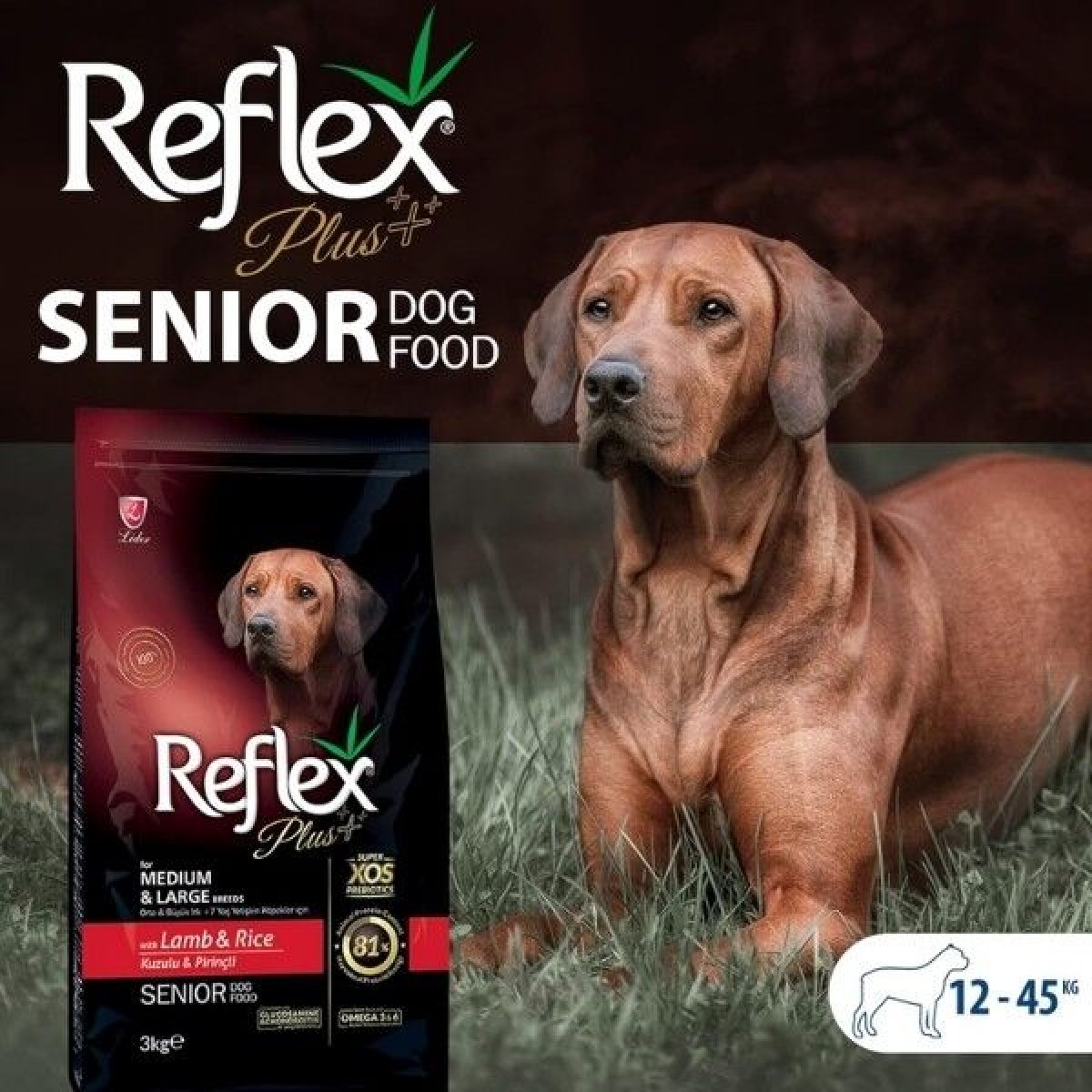 Reflex Plus Kuzulu Orta ve Büyük Irk Yaşlı Köpek Maması 3 Kg