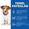 Hills Puppy Small & Mini Kuzu Etli Küçük Irk Yavru Köpek Maması 6 Kg
