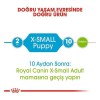 Royal Canin Xsmall Puppy Yavru Köpek Maması 1.5 Kg