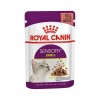 Royal Canin Gravy Sensory Smell Yetişkin Konserve Kedi Maması 1 Adet 85 Gr