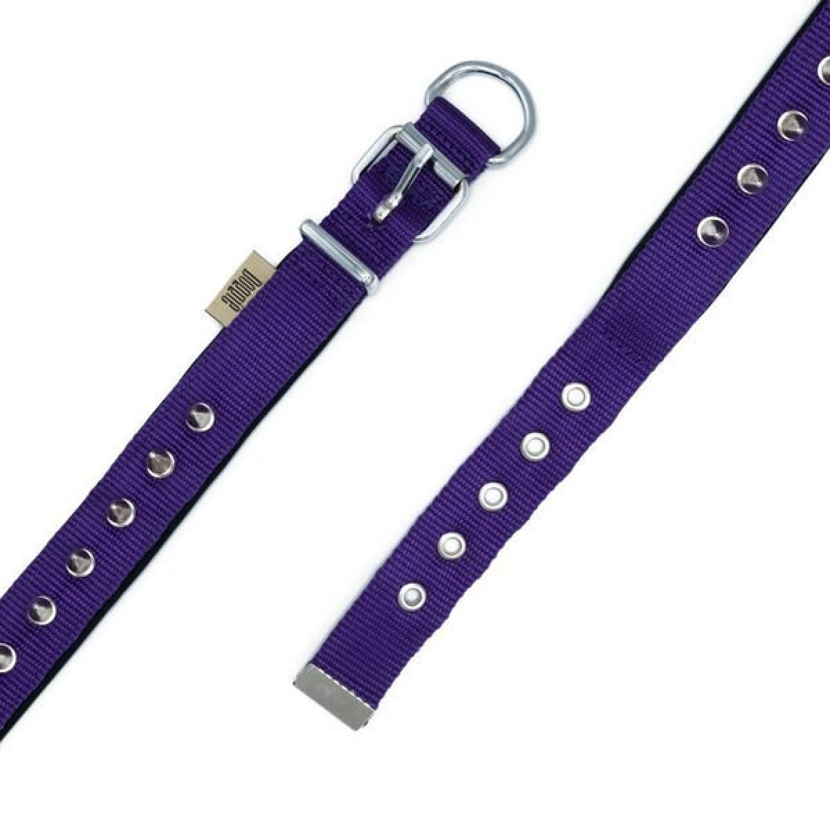 Doggie Comfort Dokuma Çivili Köpek Boyun Tasması Large Mor 2.5x42-50 Cm