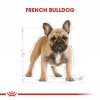 Royal Canin French Bulldog Adult Yetişkin Köpek Maması 3 Kg
