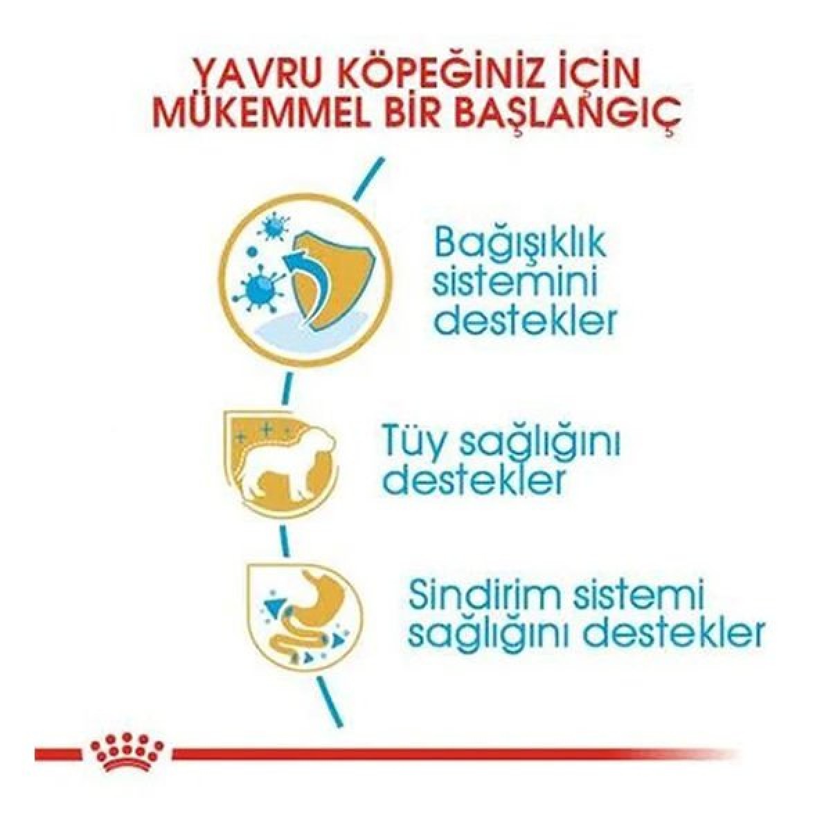 Royal Canin Poodle Junior Yavru Köpek Maması 3 Kg