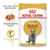 Royal Canin British Shorthair Adult Pouch Konserve Kedi Maması 1 Adet 85 Gr