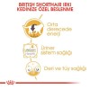 Royal Canin British Shorthair Adult Pouch Konserve Kedi Maması 1 Adet 85 Gr