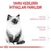 Royal Canin Kitten Yavru Kedi Maması 2 Kg