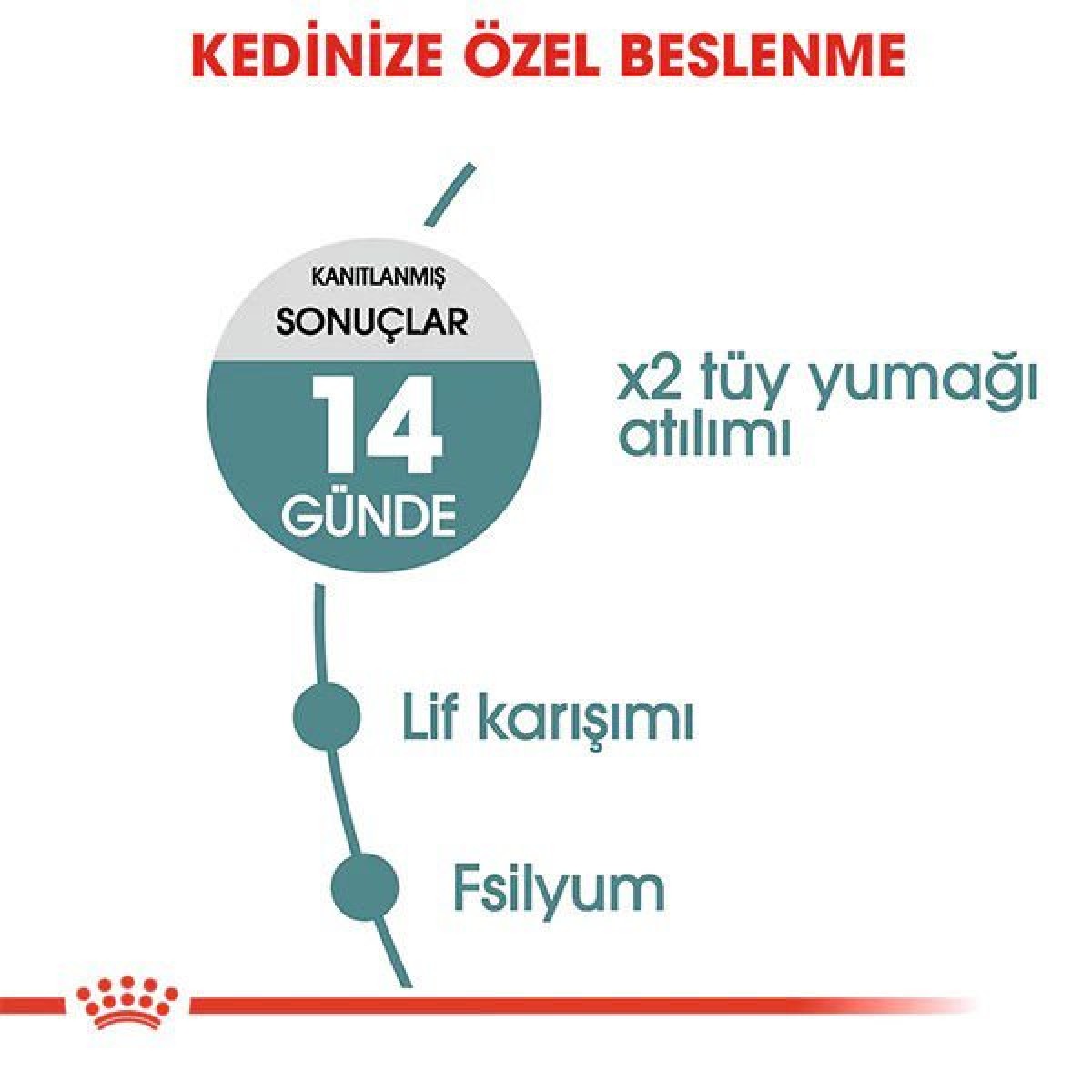 Royal Canin Hairball Tüy Yumağı Önleyici Yetişkin Kedi Maması 2 Kg