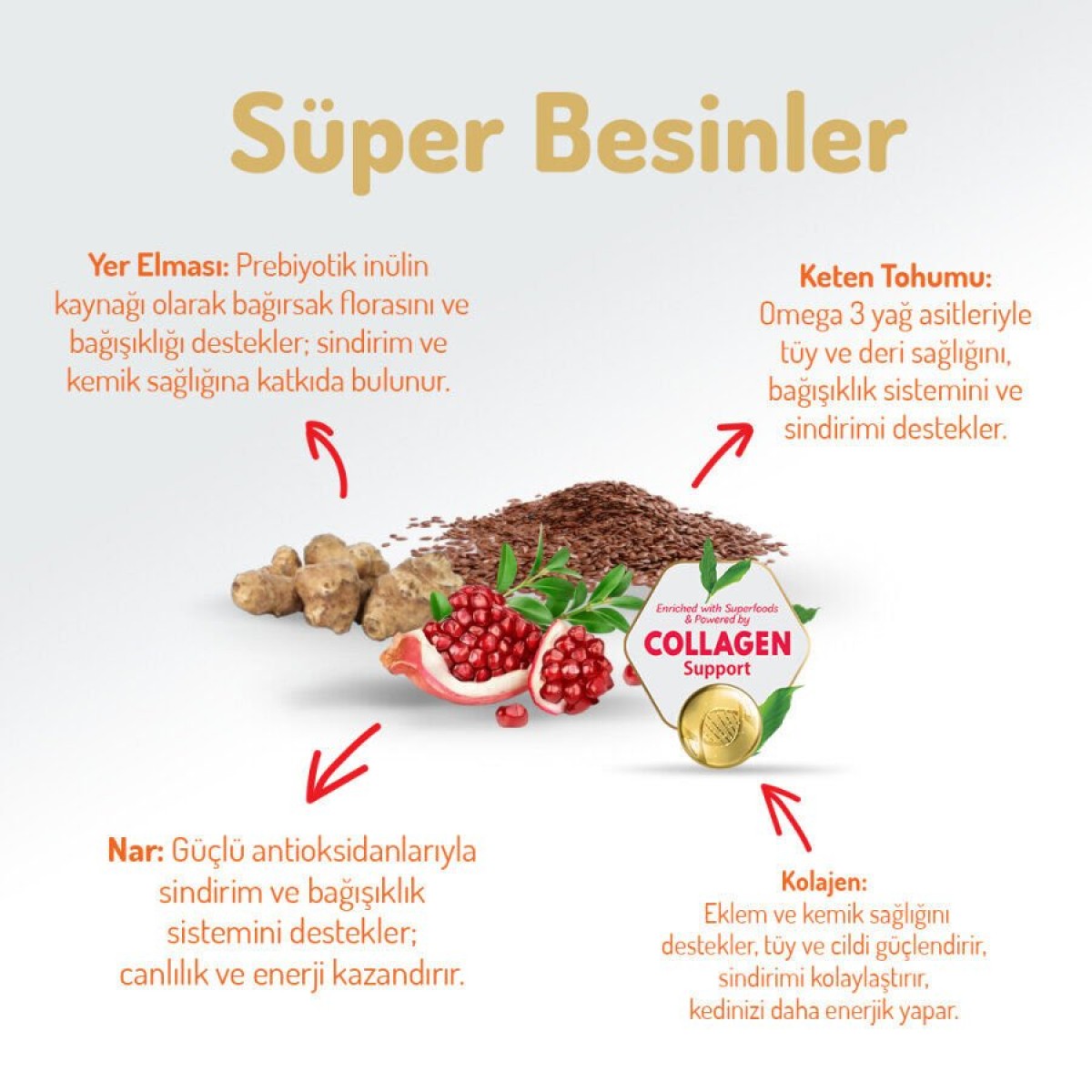 Felicia Hypoallergenic Somonlu Düşük Tahıllı Yetişkin Kedi Maması 5 Kg