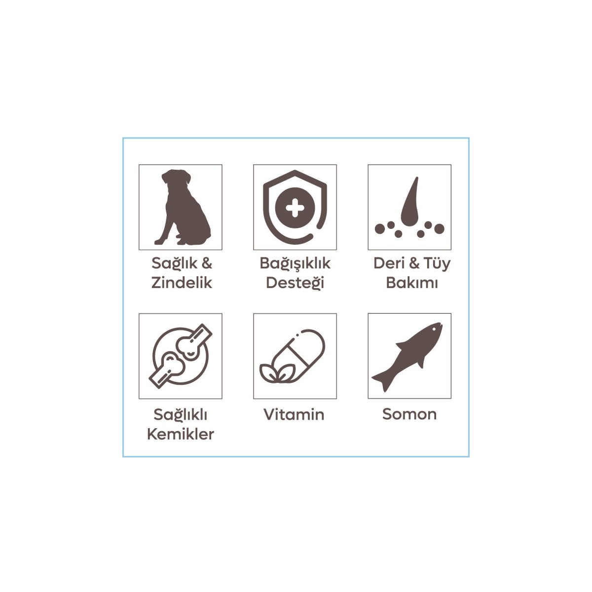 Animal World Derma Care Somonlu ve Pirinçli Yetişkin Köpek Maması 15 Kg