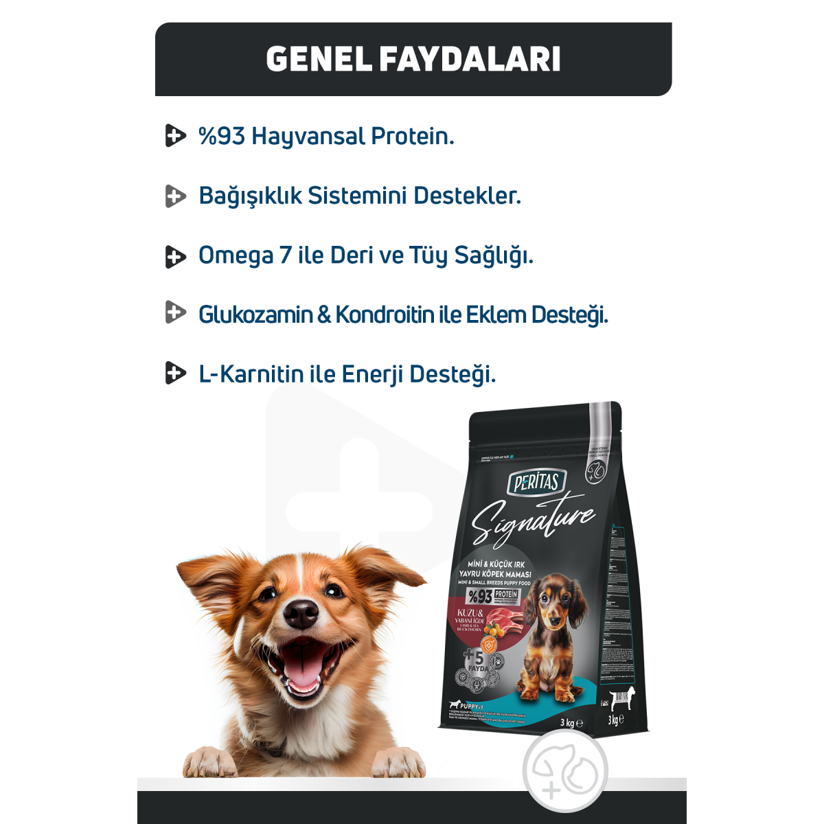 Signature Kuzulu Küçük Irk Yavru Köpek Maması 3 Kg