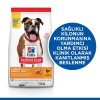 Hills Adult Light Medium Tavuklu Yetişkin Köpek Maması 2.5 Kg