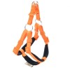 Doggie Comfort Dokuma Ronin Köpek Göğüs Tasması Xxsmall Turuncu 1x30-35 Cm