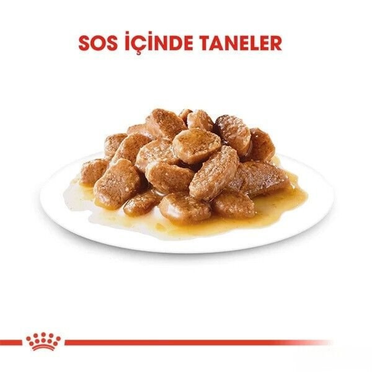 Royal Canin Adult Mini Gravy Pouch Köpek Konserve Maması 1 Adet 85 Gr