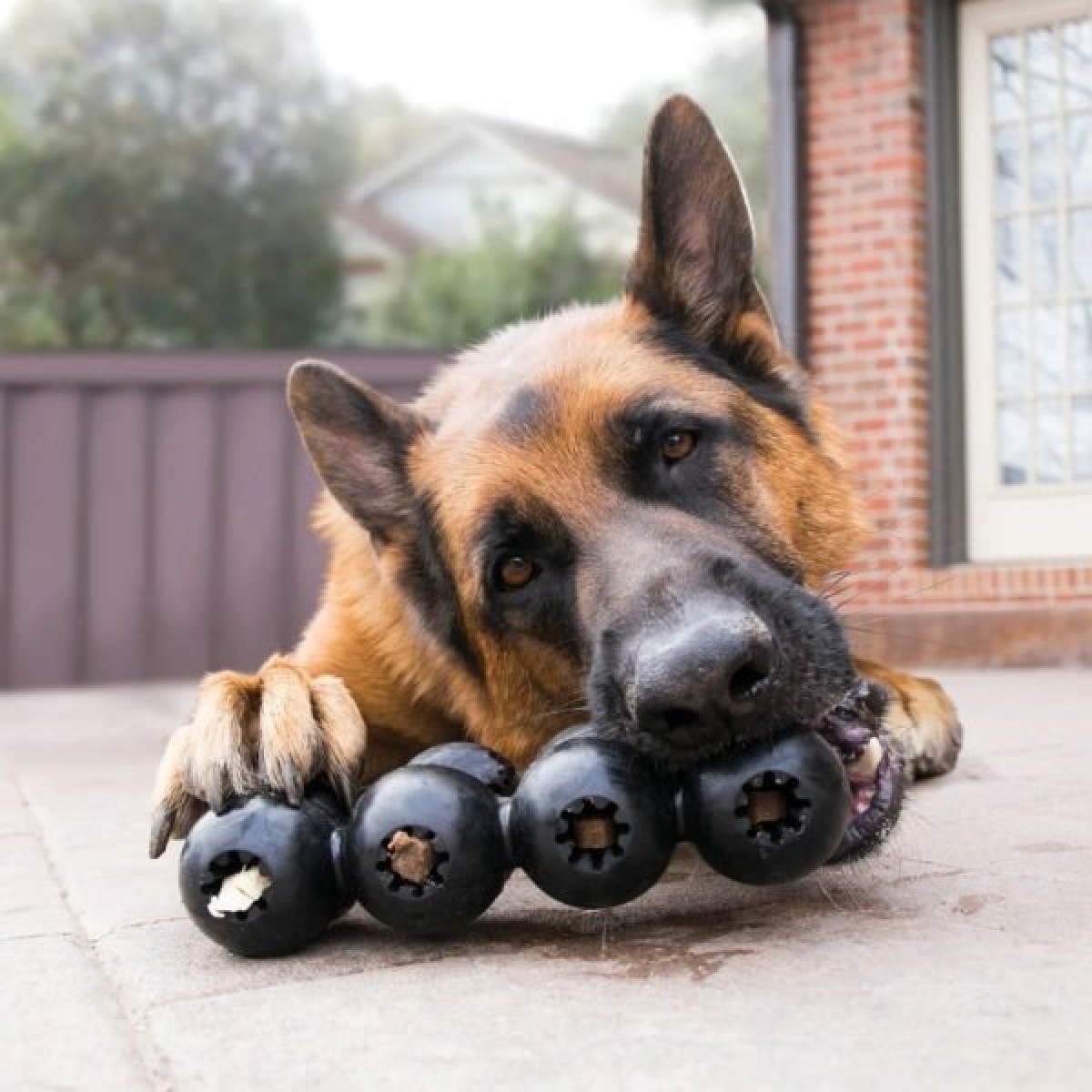 Kong Goodie Ribbon Çoklu Top Şeklinde Köpek Oyuncağı Large Siyah