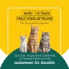 PetzzCats Ton Balığı & Kalamar Konserve Kedi Maması 1 Adet 70 Gr