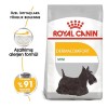 Royal Canin Mini Dermacomfort Yetişkin Köpek Maması 3 Kg