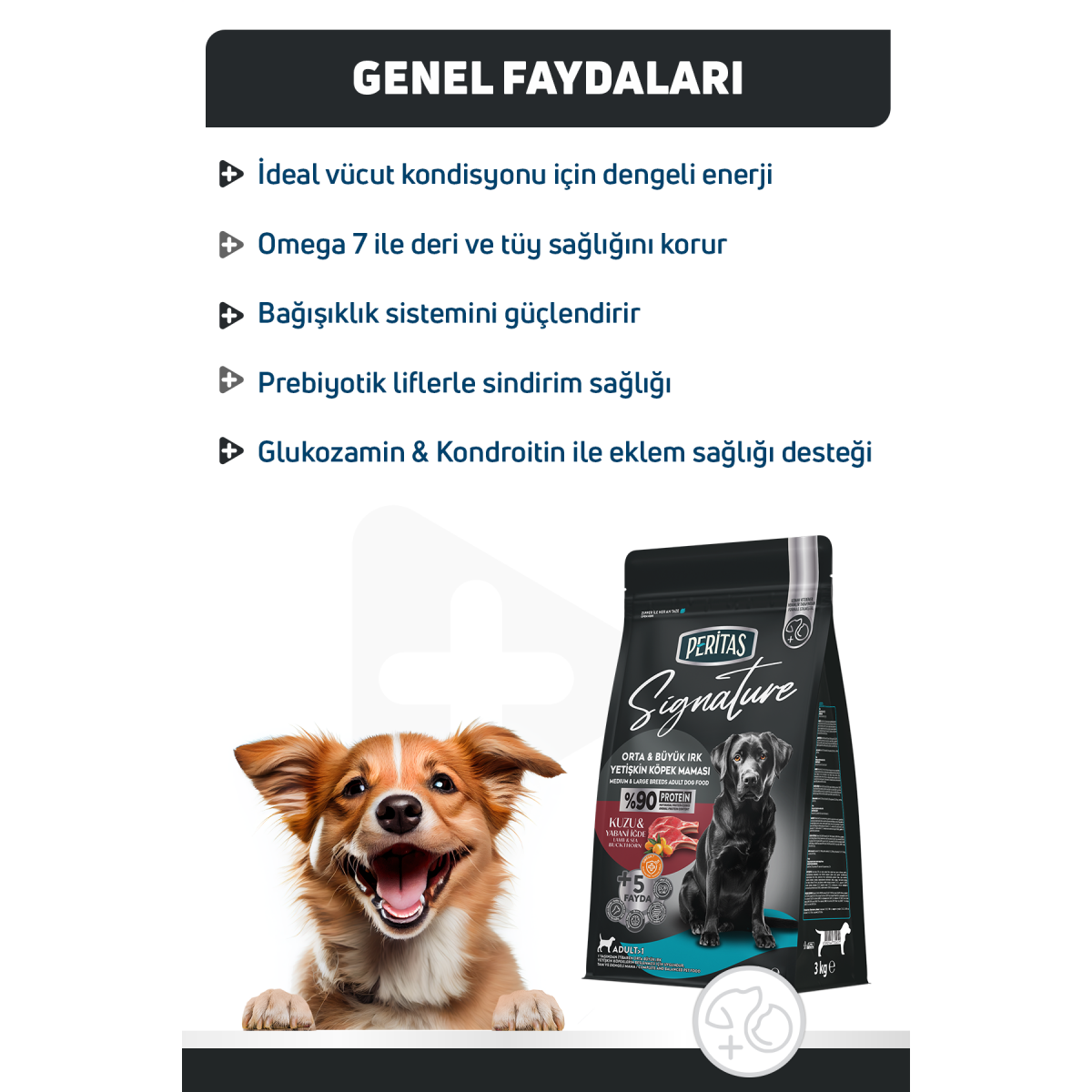 Signature Kuzulu Orta ve Büyük Irk Yetişkin Köpek Maması 3 Kg