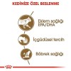 Royal Canin Ageing +12 Gravy Pouch Yaşlı Konserve Kedi Maması 1 Adet 85 Gr