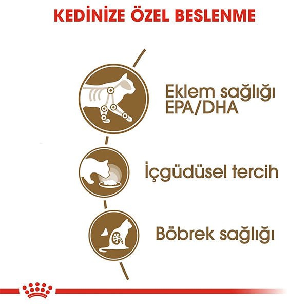 Royal Canin Ageing +12 Gravy Pouch Yaşlı Konserve Kedi Maması 1 Adet 85 Gr