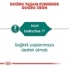Royal Canin İnstinctive +7 Pouch Yaşlı Konserve Kedi Maması 1 Adet 85 Gr