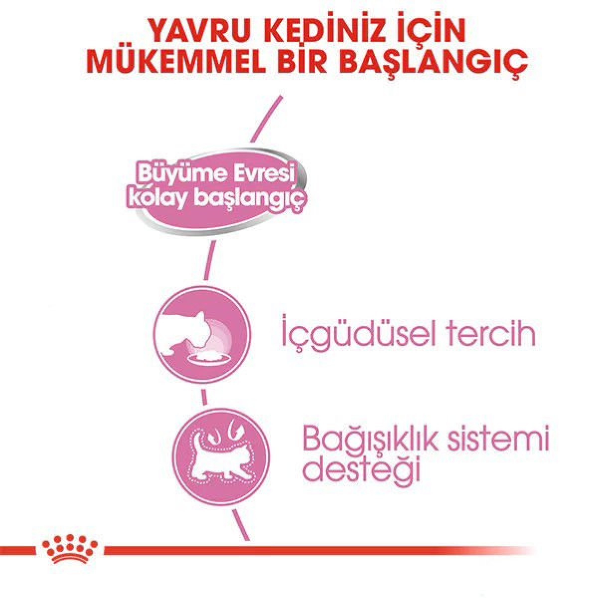 Royal Canin Mother Babycat Konserve Yavru Kedi Maması 1 Adet 195 Gr