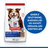 Hills Mature Senior +7 Medium Orta Irk Kuzu Etli Yaşlı Köpek Mamasi 2.5 Kg