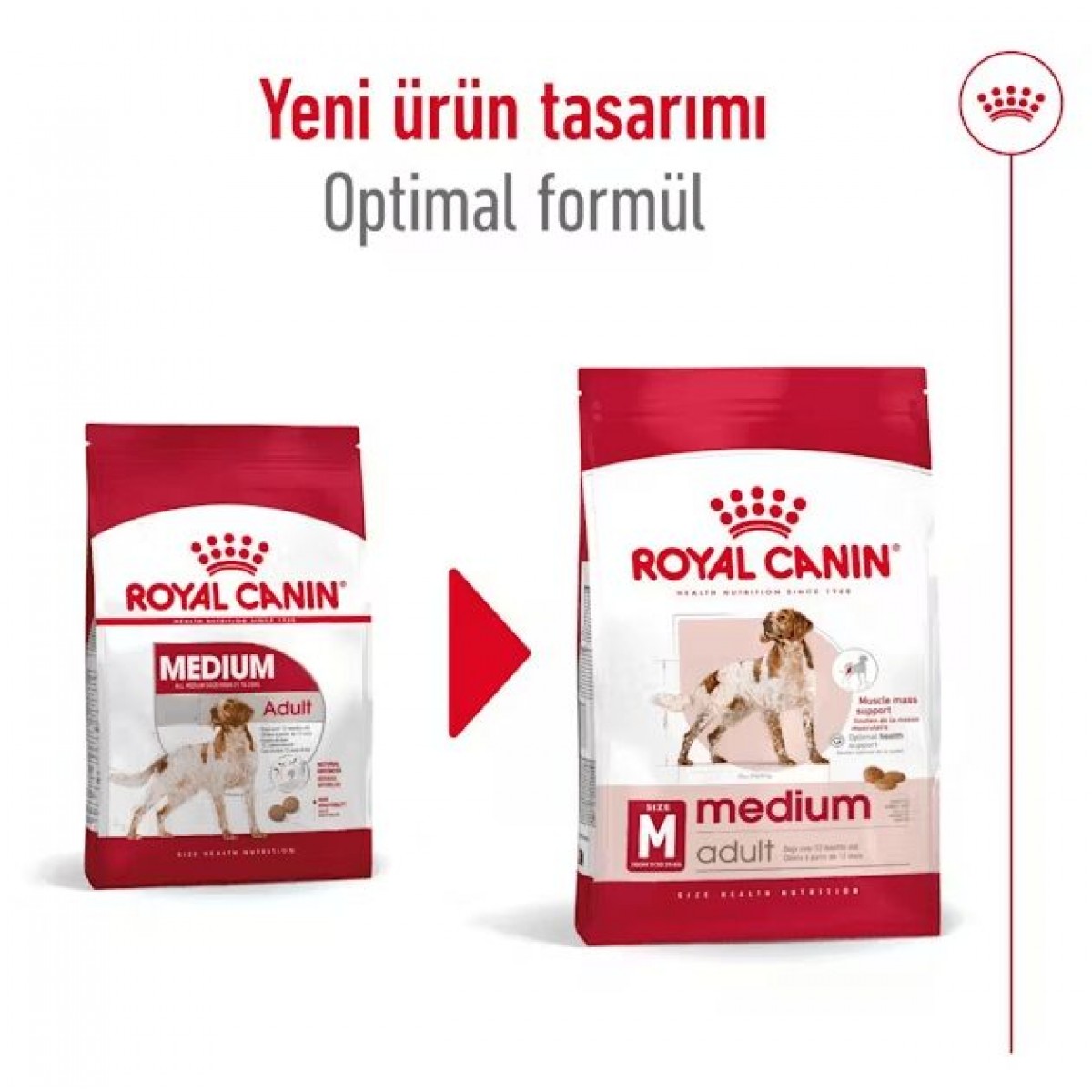 Royal Canin Medium Adult Yetişkin Köpek Maması 15 Kg