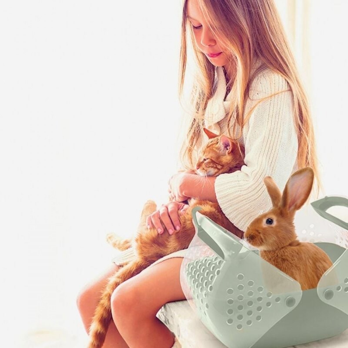 İmac Baggy Kemirgen ve Yavru Kedi Taşıma Çantası Açık Mavi 36x25x29 Cm