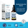 OneVet Amino-Sol Yavru Kedi ve Köpekler İçin Gelişim Destekleyici Damla 50 Ml