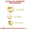 Royal Canin Poodle Adult Yetişkin Köpek Maması 3 Kg