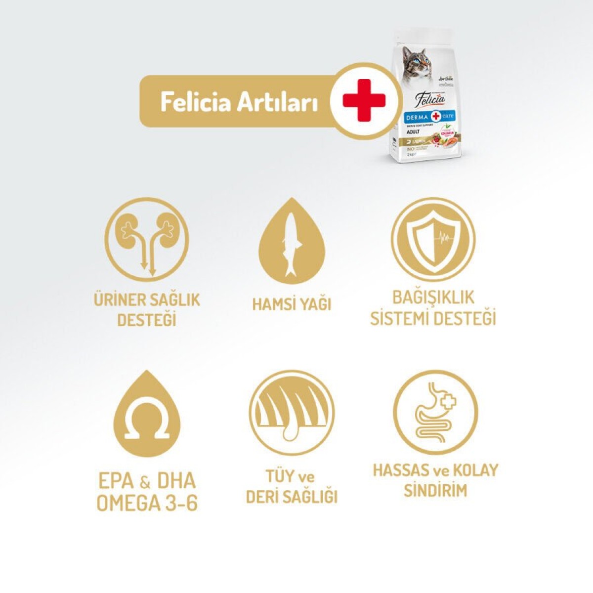 Felicia Hypoallergenic Somonlu Düşük Tahıllı Yetişkin Kedi Maması 5 Kg