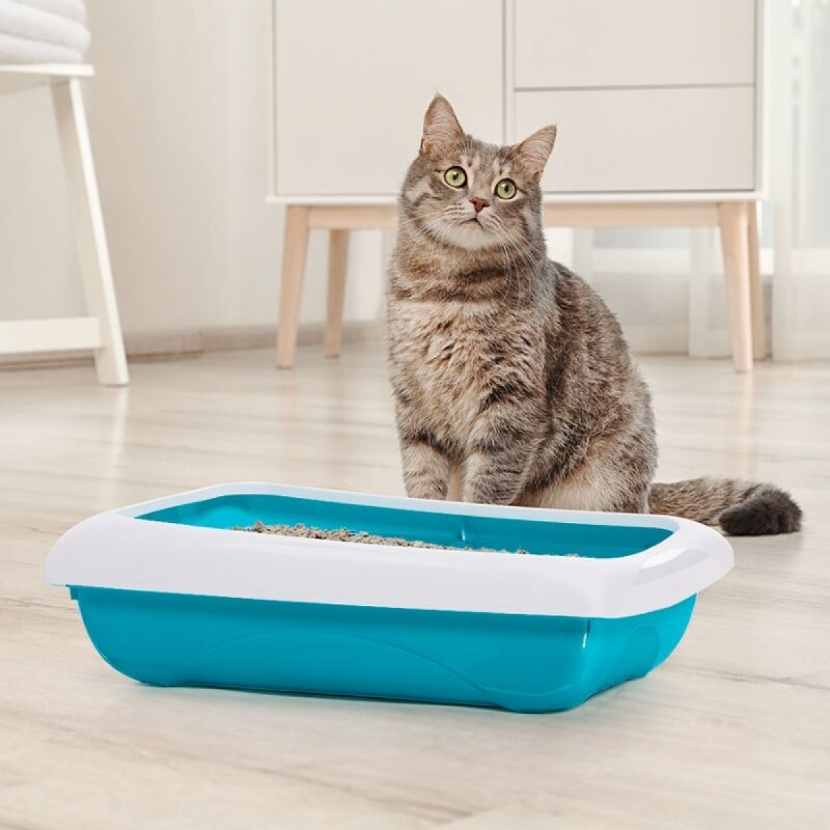 İmac Dodo Açık Kedi Tuvaleti Gri 45.5x31x13.5 Cm