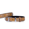 Doggie Comfort Deri Kemik Süslü Köpek Boyun Tasması Medium Camel 3x42-50 Cm